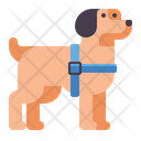 Harness  Icon