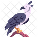 Harpy Eagle Icon
