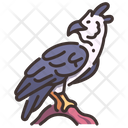 Harpy Eagle  Icon