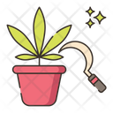 Harvest Icon