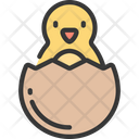 Hatched Icon