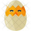 Hatching Chick Hen Icon