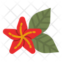Hawaii Flower Icon