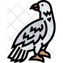 Hawk Falcon Bird Icon