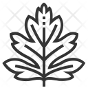 Hawthorn Leaf Plant Icon