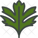 Hawthorn Leaf Nature Icon
