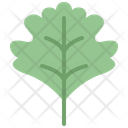 Hawthorn Leaf Icon