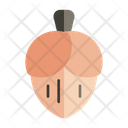 Hazelnut Icon