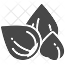 Hazelseed Nut Grains Icon