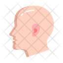 Head Face Human Icon