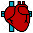 Heart Cardiac Body Icon