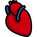 Heart Anatomy Vein Icon