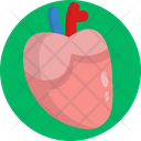 Human Anatomy Heart Organ Icon