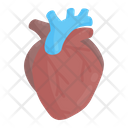 Heart Cardiology Heartbeat Icon