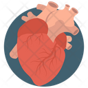 Heart  Icon