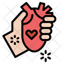 Heart Organ Donate Icon