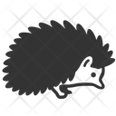 Hedgehog Animal Autumn Icon