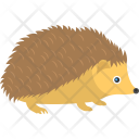 Hedgehog Animal Porcupine Icon