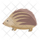 Hedgehog Porcupine Animal Icon