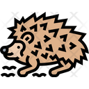 Hedgehog Pet Spine Icon