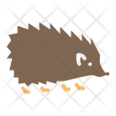 Hedgehog Animal Forest Icon