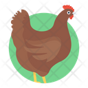 Hen Animal Chicken Icon