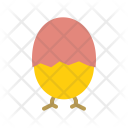 Chicken Egg Easter Icon