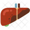 Hepatitis Infection Liver Icon