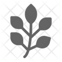 Herb Leaf Natural Icon