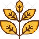 Herbs Icon