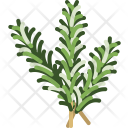Herbs Icon