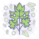 Herbs Icon