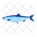 Herring Fish Icon