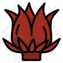 Vegetable Food Vegetarian Icon