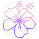 Hibiscus Icon