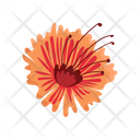 Hibiscus Hibiscus Flower Rose Mallow Icon