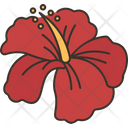 Hibiscus Flower Bloom Icon