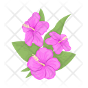 Flower Hibiscus Leaf Icon