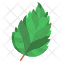 Hibiscus Leaf Icon