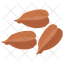 Hican Nuts Nuts Tree Nuts Icon