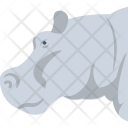 Hippopotamus Animal Wild Icon