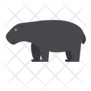 Hippopotamus Animal Hippo Icon