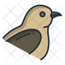 Hoatzin Birds Bird Icon