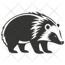 Hog badger  Icon