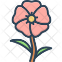 Hollyhock Althaea Malvaceae Icon