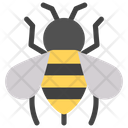 Honey Bee  Icon