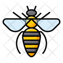 Honey Bee  Icon