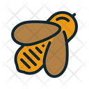 Bee Insect Apiary Icon