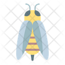 Bee Wasp Bug Icon