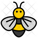 Honey Bee Honey Bee Icon